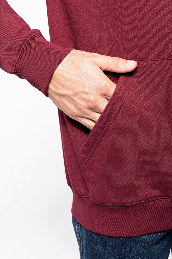 Kapuzensweatshirt bicolor Herren