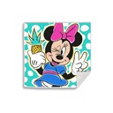Disney Minnie , Mickey Magisches Handtuch