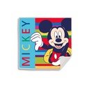 Disney Minnie , Mickey Magisches Handtuch