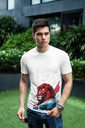 Luxembourg Lion2