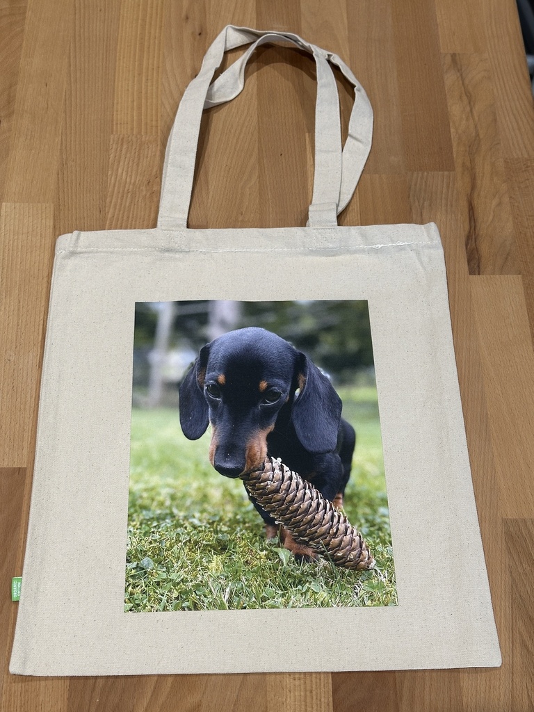 Tasche 320 g/m² Organic Canvas (ohne Druck)