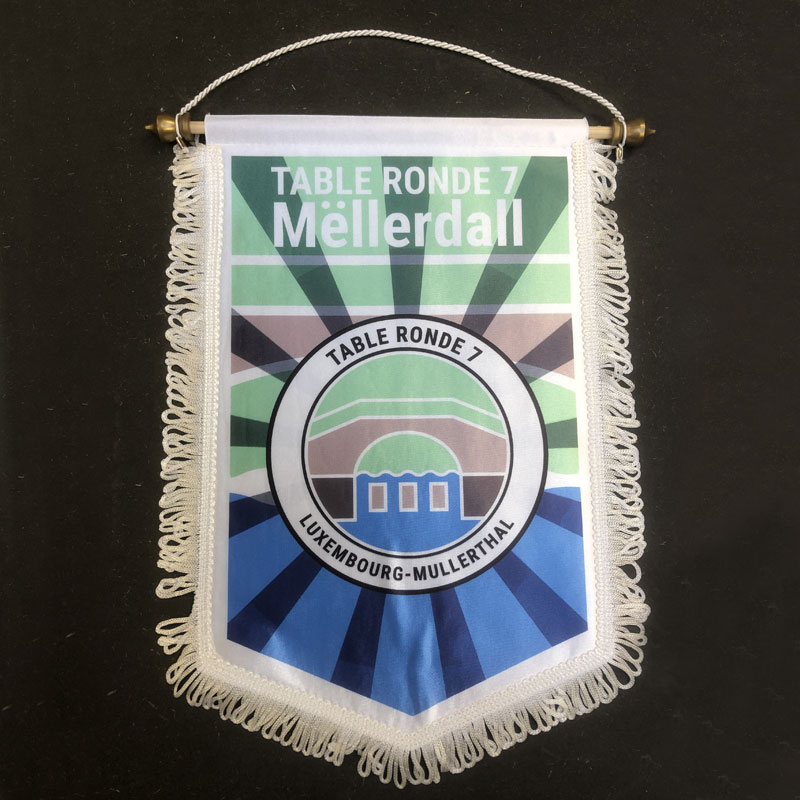 [ls-wimpel-g-01] 5-Eck Wimpel, 20 x 30 cm mit Fransen