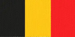 Halsband 22mm schwarz-gold-rot mit Karabinerhaken