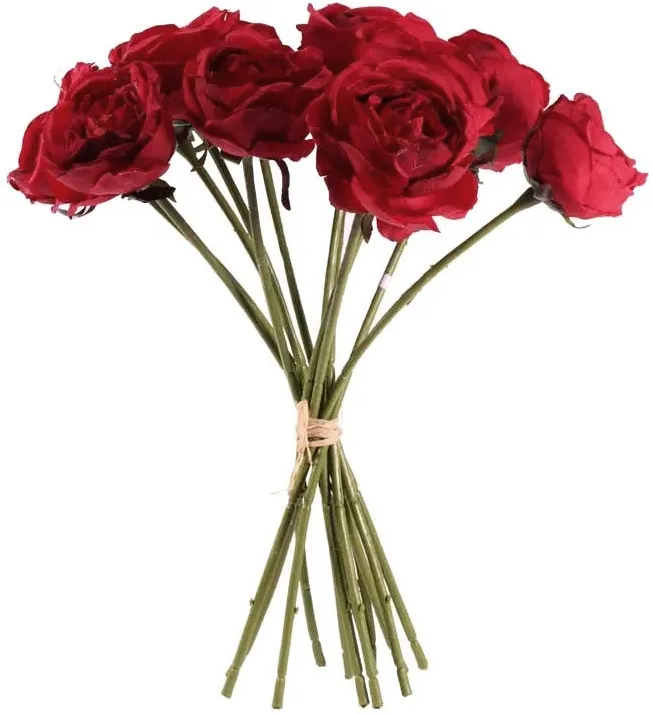 [SF0370R] Tea Rose rot