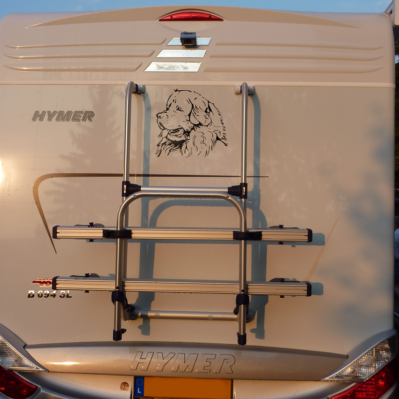 Neufundländer 42x42 cm