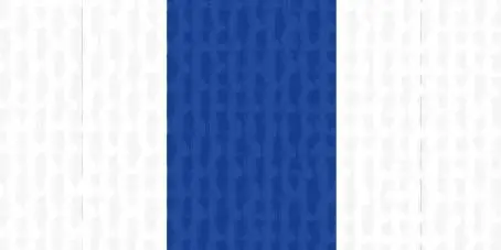 [723] Halsband 22 mm weiß-blau-weiß mit Karabinerhaken
